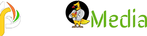 Pbird Media